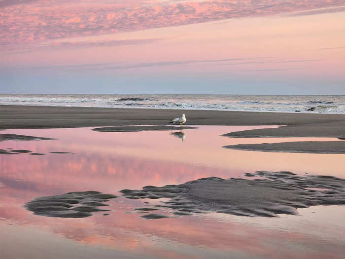 a beach at sunset