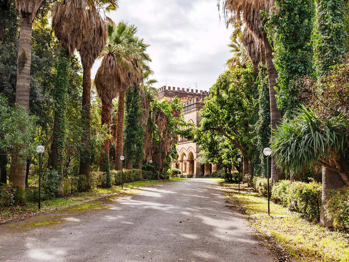 Palm trees surround the dramatic driveway to enter the home.