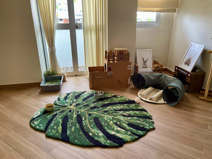 The other hidden door opens up to reveal another bedroom that the couple turned into a playpen for their pet bunny.