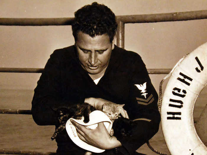 But Navy cats were known to offer their human colleagues companionship.